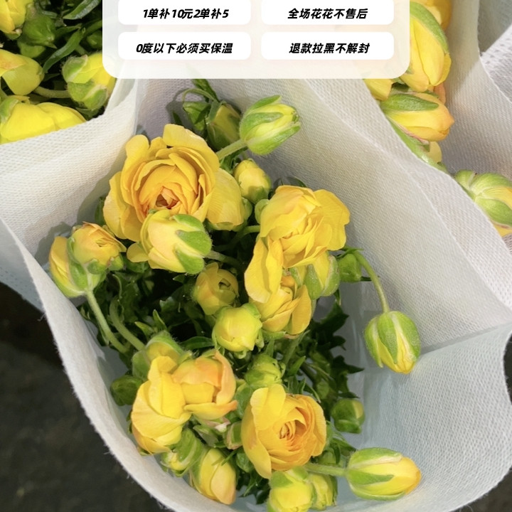 不售后，橙黄蝴蝶洋牡丹1扎4～5支，购买三单包邮,鲜花速递/花卉仿真/绿植园艺,花材,淘宝优惠券,粉丝福利购,淘宝优惠卷