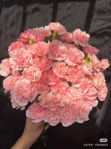 不售后，可利鲜棉花糖多丁1扎，购买三单包邮