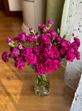不售后，可丽鲜·紫皇后多丁1扎，购买三单包邮