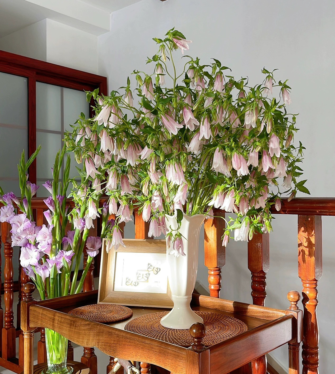 不售后，推荐必买绝美紫斑风铃1扎，购买三单包邮