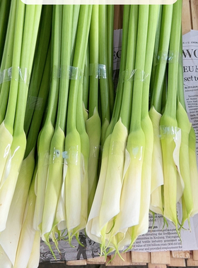 不售后，白色马蹄莲1扎8～10只，购买三单包邮