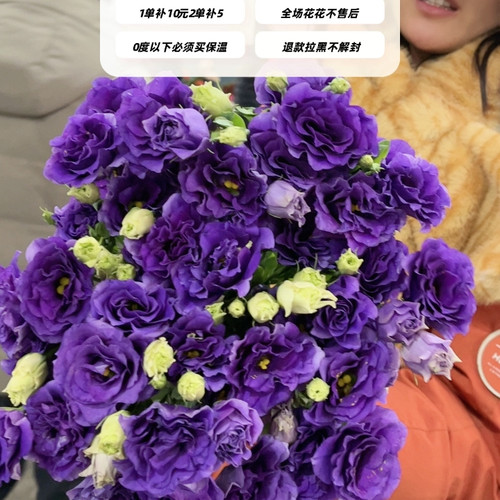 不售后，必买尖角深紫洋桔梗1扎4拼，购买3单包邮