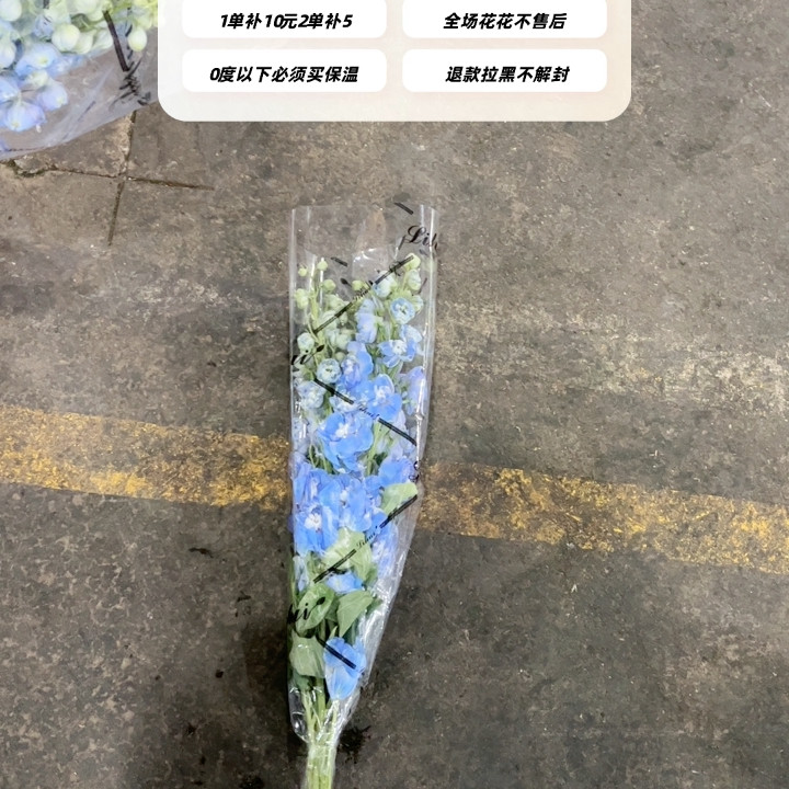 不售后，必买丽辉75～80cm 蓝色大飞燕1扎4～5支,鲜花速递/花卉仿真/绿植园艺,花材,淘宝优惠券,粉丝福利购,淘宝优惠卷