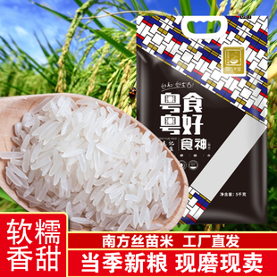 园万米业食神5kg米粒均匀口感适中丝苗米