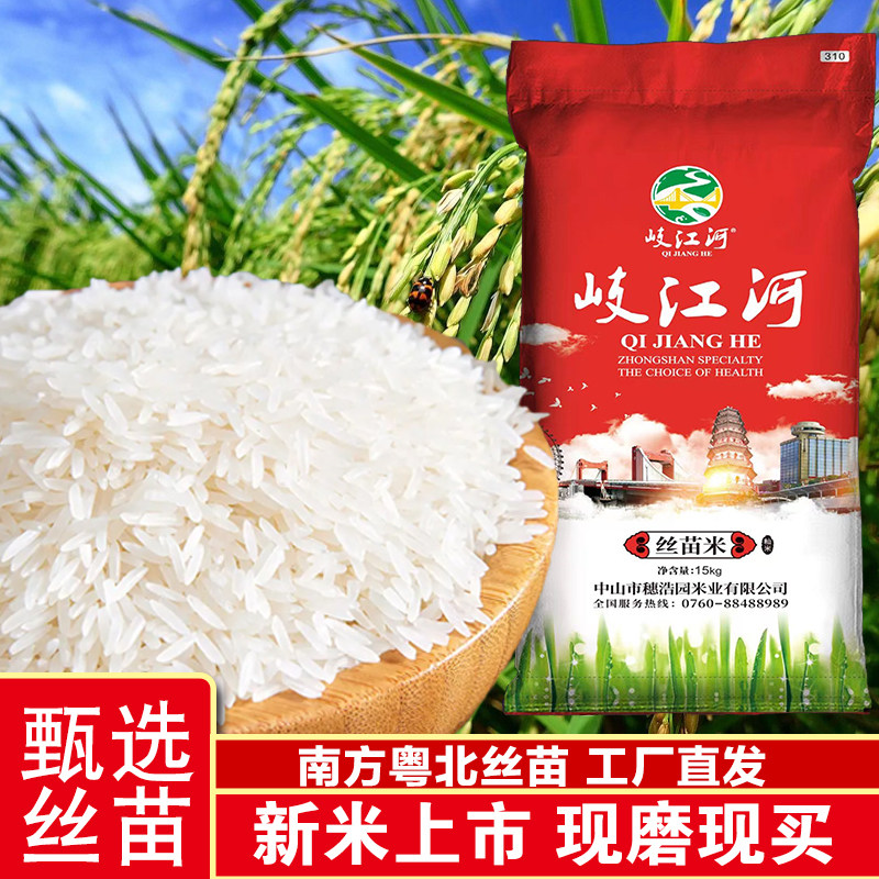 园万米业新米15kg岐江河丝苗米粤北籼米米粒晶莹口感香滑