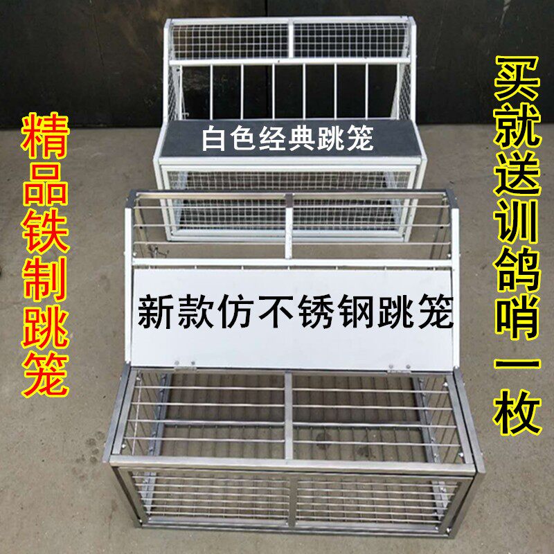 鸽子跳笼 信鸽赛鸽用品用具 鸽棚鸽舍进口 只进不出不锈钢跳笼