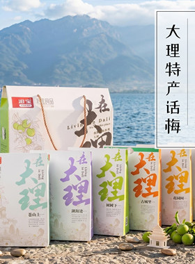 云南大理特产礼盒洱宝话梅