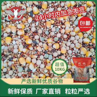 品龙营养鸽粮10KG带玉米20斤鸽饲料鸽子粮食种鸽赛飞鸽食粮包邮