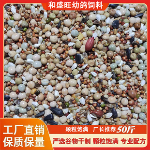 和盛旺幼鸽无玉米鸽粮鸽饲料50斤信鸽赛鸽观赏鸽鸟食
