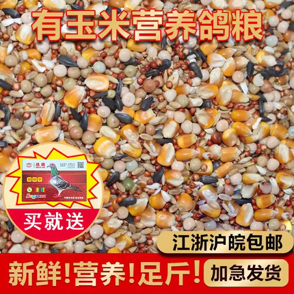 品龙营养鸽粮50斤包邮鸽子饲料小颗粒带玉米种鸽赛鸽飞鸽通用鸽食