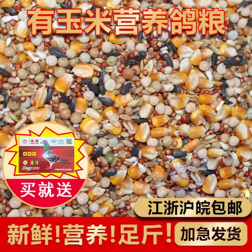 鸽子饲料鸽粮营养粮食小颗粒50斤