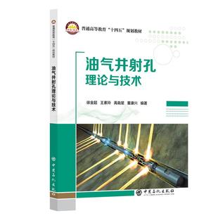 【官方旗舰店】油气井射孔理论与技术 油