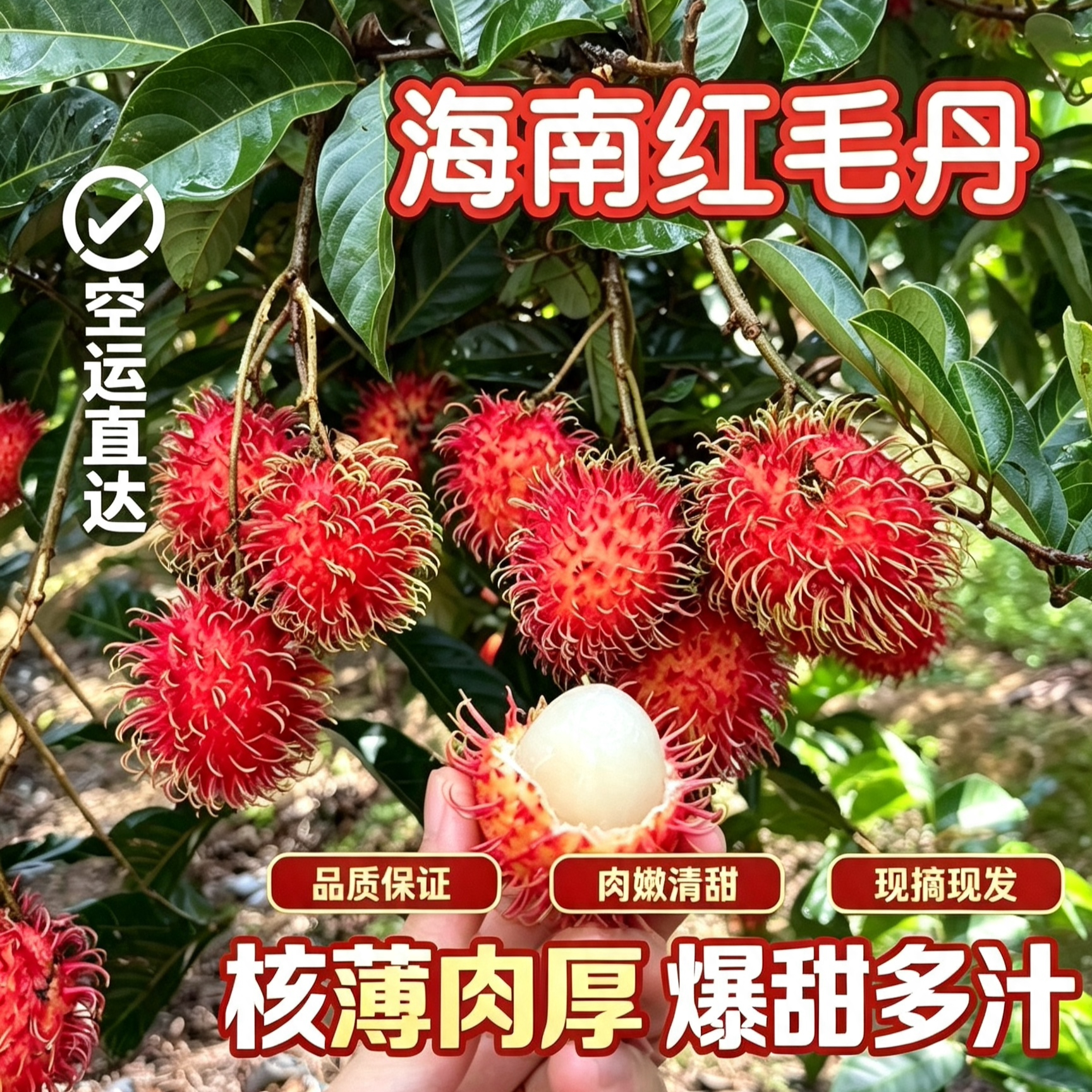 海南保亭红毛丹7号应季毛荔枝新鲜水果京东空运彩箱包邮