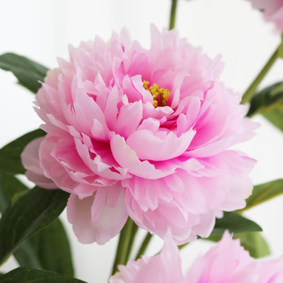牡丹芍药仿真花假花摆设客厅摆件花束餐桌花艺装饰花塑料插花绢花