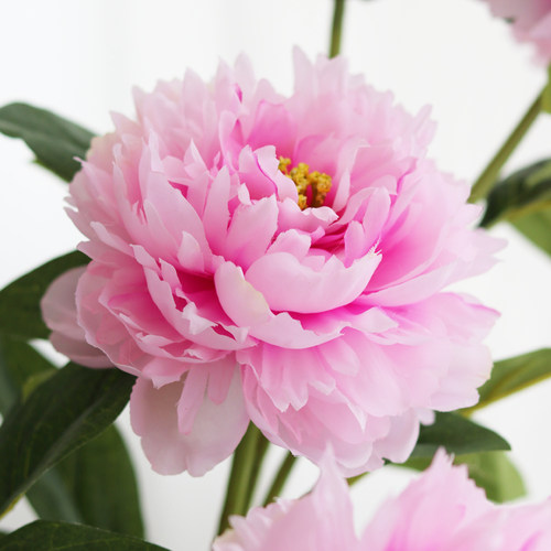 牡丹芍药仿真花假花摆设客厅摆件花束餐桌花艺装饰花塑料插花绢花