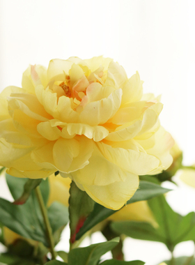 高品质锦绣牡丹芍药仿真花假花家居客厅摆件餐厅装饰绢花干花摆设