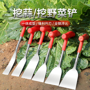 小铲子挖荠菜园艺铁铲种花挖土除草工具拔草户外 挖野菜神器挖蒜