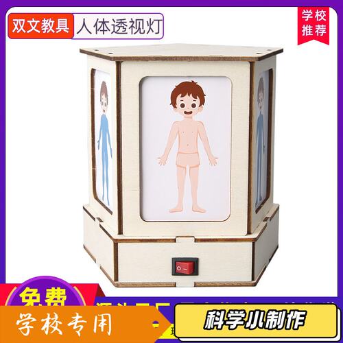 科技小制作人体结构观察透视灯认识人体器官科学实验stem儿童S68