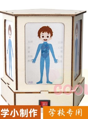 科技小制作人体结构观察透视灯认识人体器官科学实验stem儿童as02