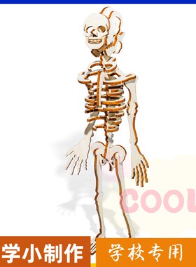 科技小制作 3D立体人体骨骼手工作业diy材料包科学小实验木制as03