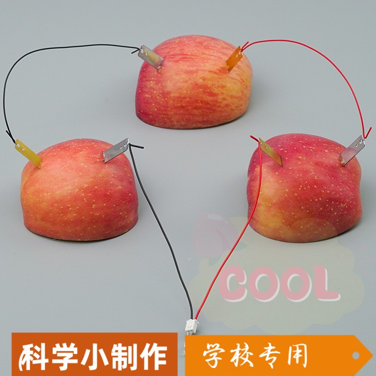 科学实验水果发电锌铜片科技小制作小学生小发明物理实验材料SS44