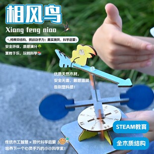 儿童节儿童科学实验相风鸟科技小制作幼儿益智玩具手工diy材DF73