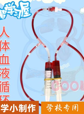 科技小制作学生物毛细血管人体血液循环模型 科学实验器材手a599