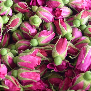 新鲜玫瑰花平阴玫瑰鲜花蕾骨朵千叶格拉斯花朵大马士革玫瑰花朵