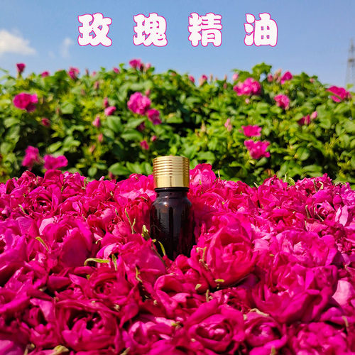 玫尔娜玫瑰精油自有玫瑰园