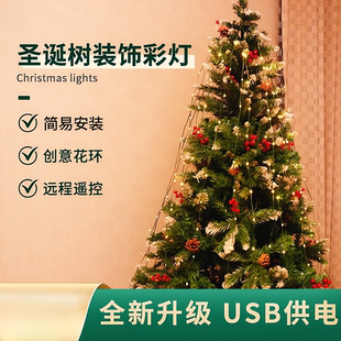 饰灯串绿线皮线LED星星彩灯串灯满天星绿植布置花环装 圣诞树装 饰