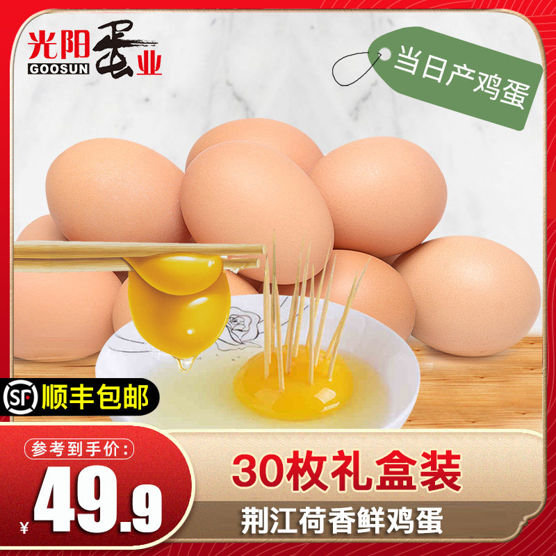 顺丰包邮光阳蛋业荆江荷香鲜鸡蛋30枚礼盒装新鲜柴鸡蛋无菌鸡蛋