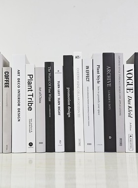 样板间可阅读英文道具书摆件