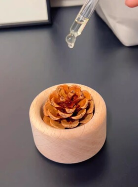 无火香薰2025新款黑胡桃木扩香木
