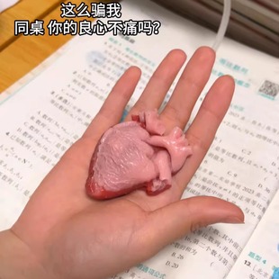 2025新款 仿真心脏捏捏乐创意感仿真心脏捏捏会跳动带气囊解压玩具