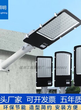 LED小金豆路灯30W100W路灯头 户外乡村道路照明新农村 挑臂路灯