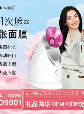 蒸脸器纳米喷雾补水仪热喷蒸脸美容仪蒸脸仪跨境KD2331A