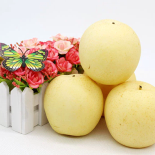 河北赵州正宗皇冠梨当年采摘现摘现发新鲜大果脆甜多汁非水晶梨