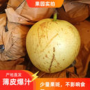 25年新鲜现摘赵州正宗皇冠梨二级果产地直销3斤 9斤 5斤