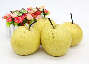 赵州雪花梨10斤装河北赵县特产雪梨新鲜梨子脆甜多汁水果水晶鸭梨