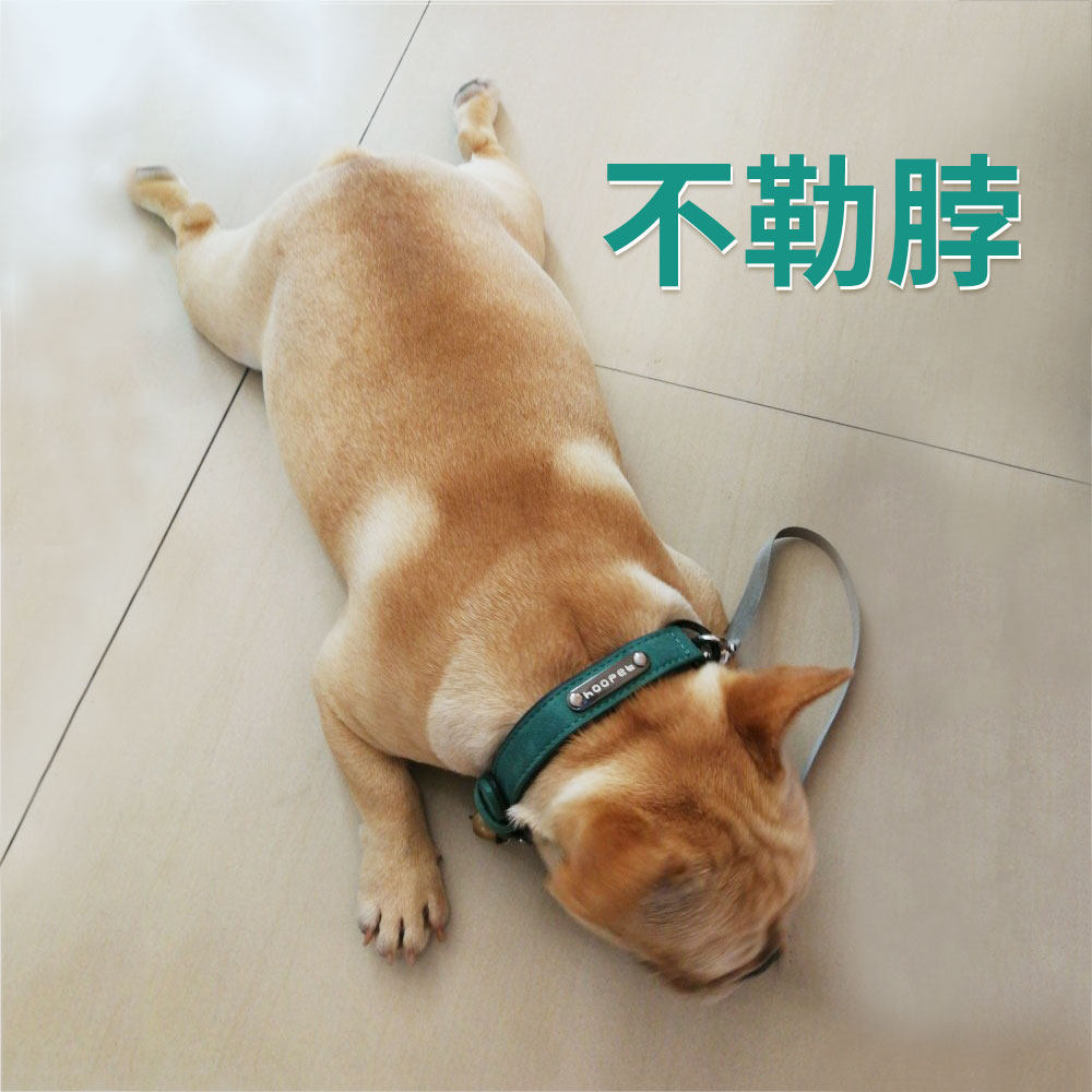 狗狗项圈法牛法斗柯基柴犬小型犬专用巴哥宠物用品狗环套脖圈颈圈