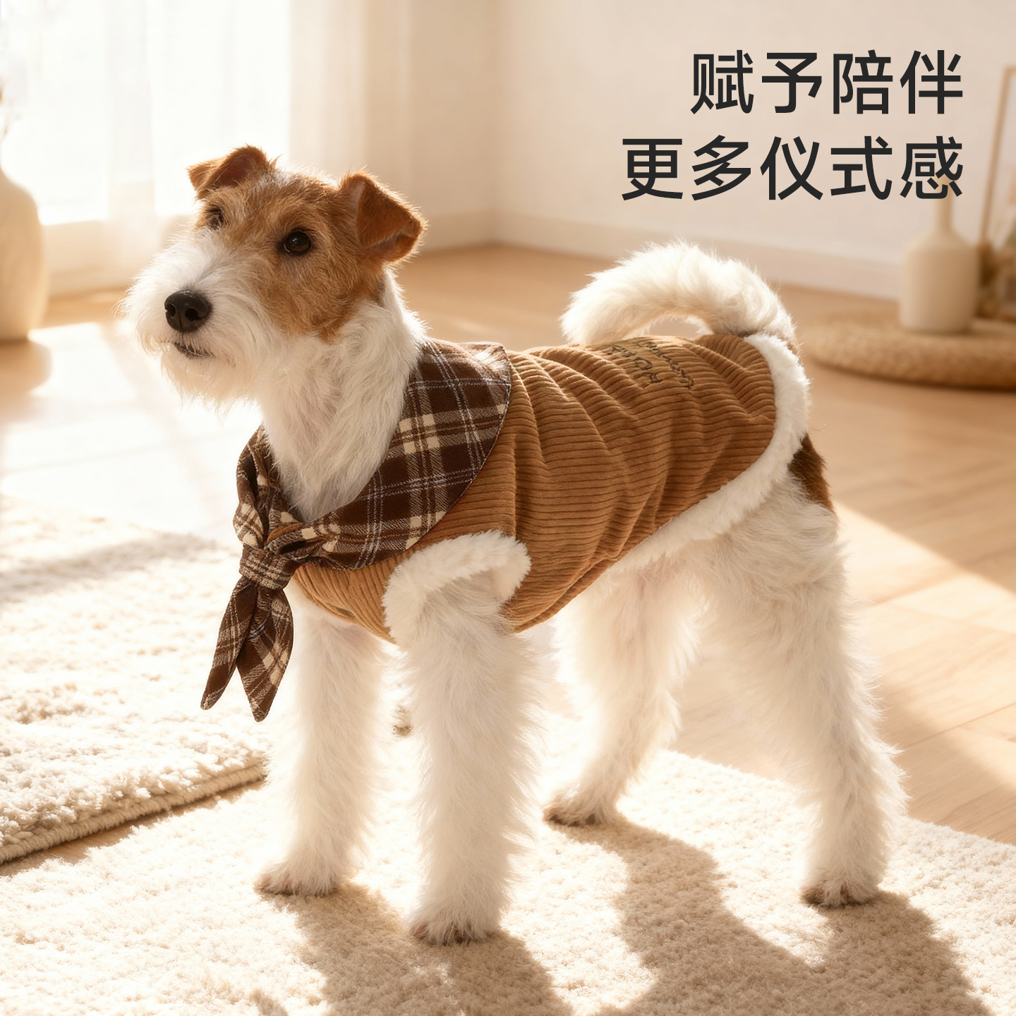 Hoopet宠物灯芯绒马甲小狗秋冬外出冬天保暖猫背心小型犬狗狗衣服