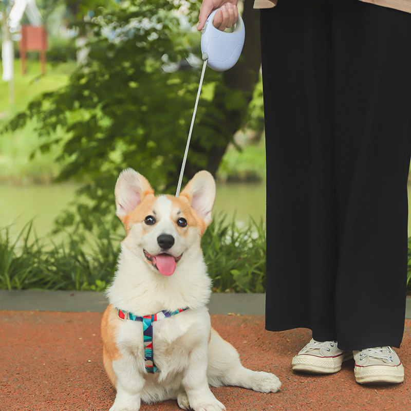卡诺宠物小猫咪牵引绳外出宠物遛狗绳猫咪小型犬幼犬泰迪狗狗链子