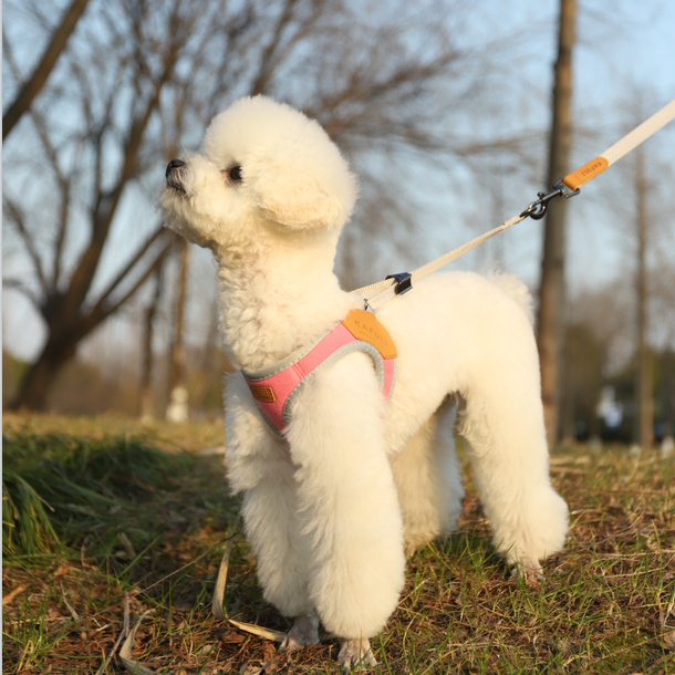 hoopet8字胸背带狗狗牵引