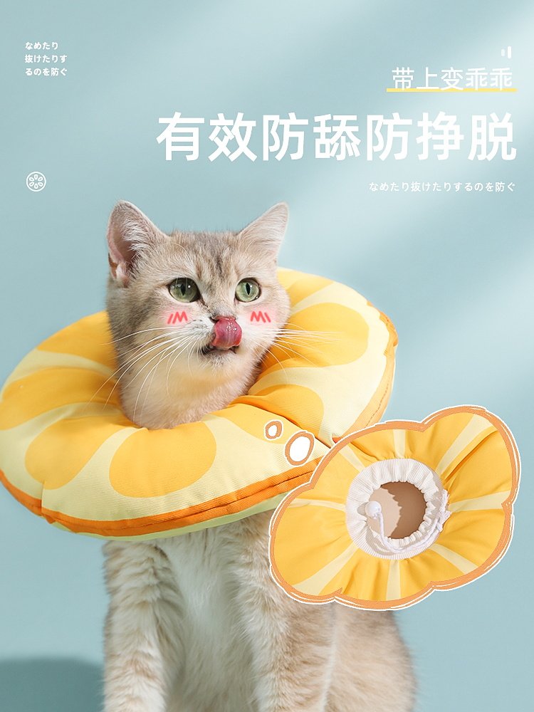 엘리자베스 고양이 머리 장식 핥기 방지 방수 개 및 새끼 고양이 목걸이 엘리자베스 살균 용품 고양이 목걸이