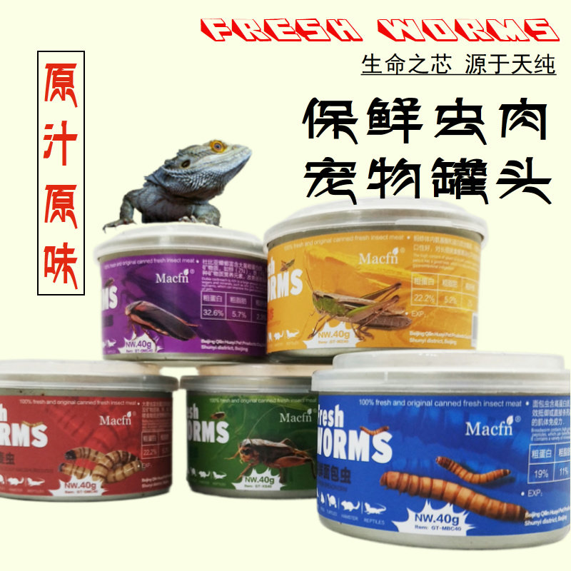 保鲜昆虫罐头爬宠零食图片