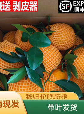 橙子正宗秭归伦晚脐橙新鲜水果脐橙当季现摘孕妇榨汁手剥橙包邮
