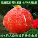 橙子血橙新鲜水果当季 现摘红橙子中华红血橙红肉红心雪橙整箱10斤