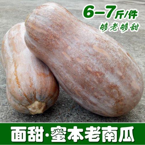 新鲜当季广西农家种植老南瓜