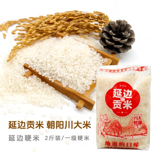 延边贡米 大米粳米一级延吉朝阳川镇大兴村大米1kg新米2025年新米
