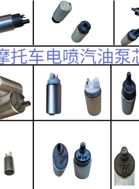 适用国四电喷摩托配件油箱内置汽油泵芯燃油泵电机抽油供油泵马达